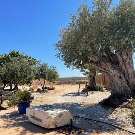 La Casa Del Olivo Villa Écija Buitenkant foto