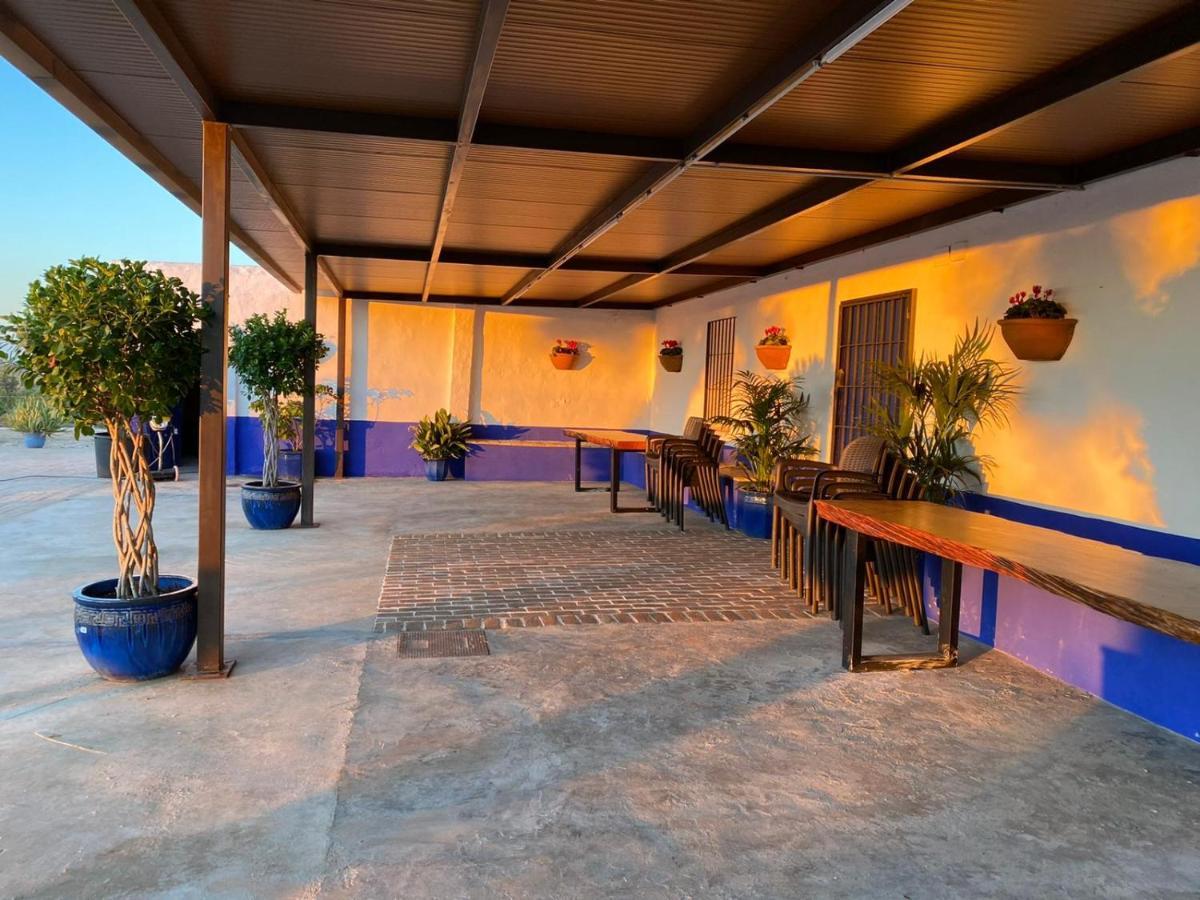 La Casa Del Olivo Villa Écija Buitenkant foto