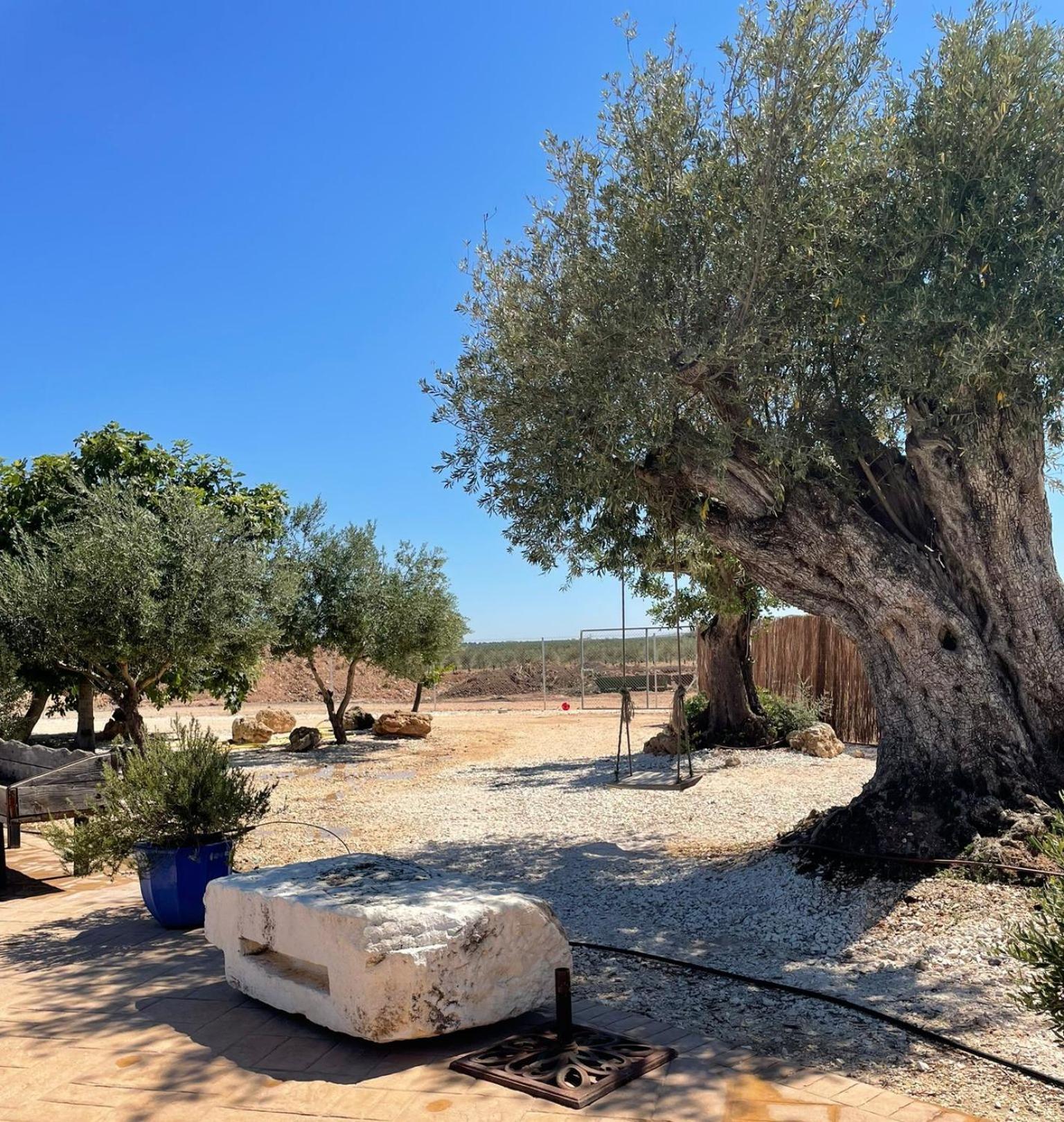 La Casa Del Olivo Villa Écija Buitenkant foto